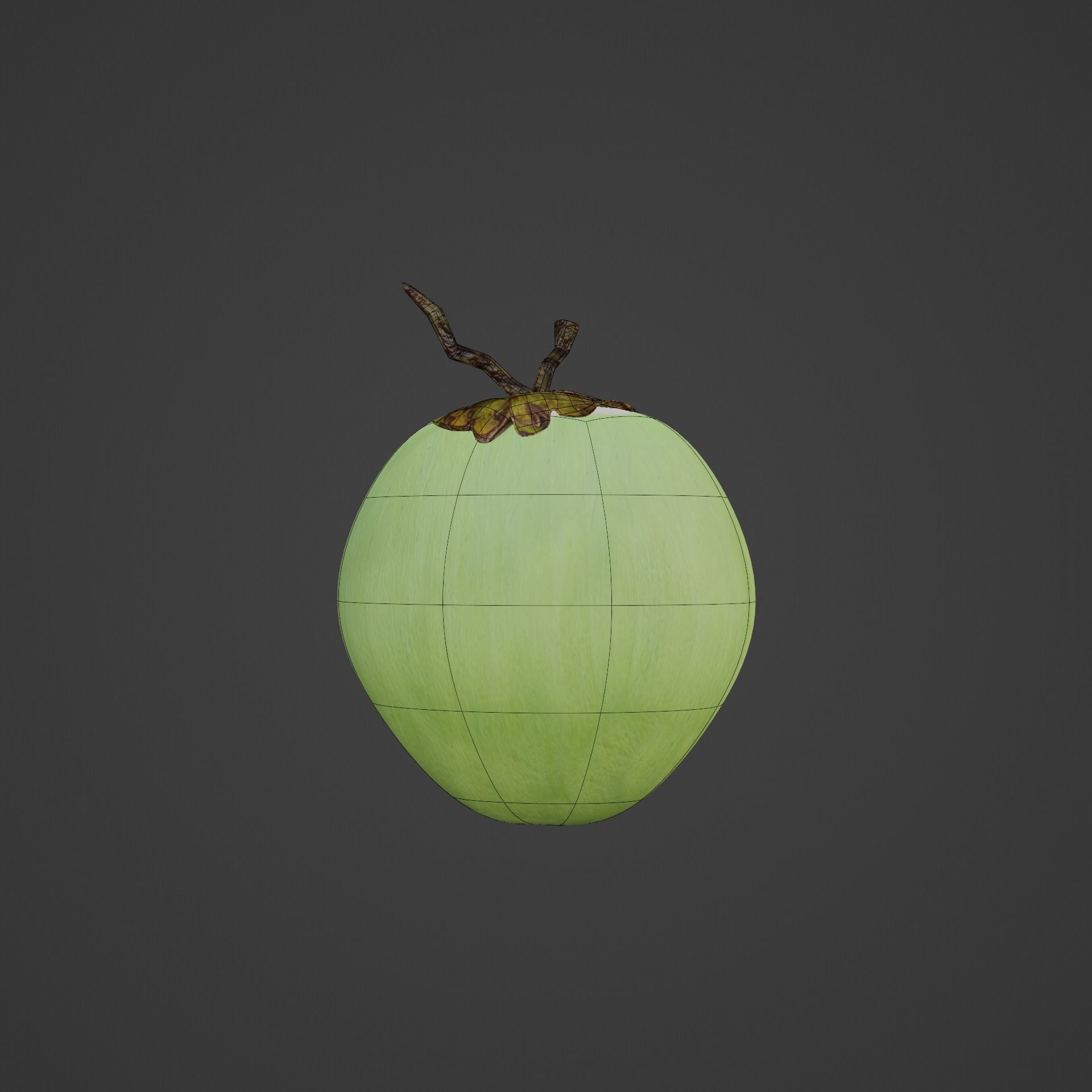 Coconut model fruit 3D model_1