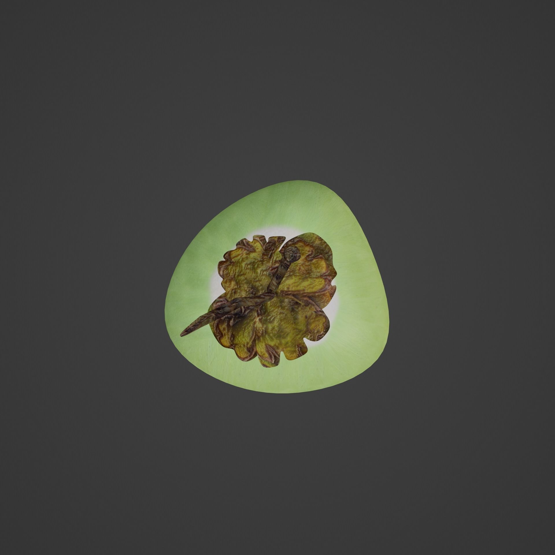 Coconut model fruit 3D model_4