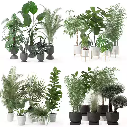 20 Photorealistic Flowers for Interiors - set 139 141 142 143 3D Model Collection