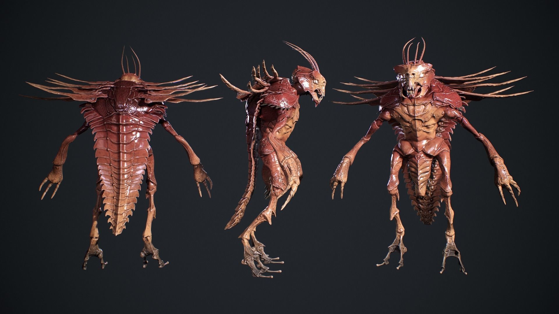 Bug Creature 2 Low-poly 3D model_7