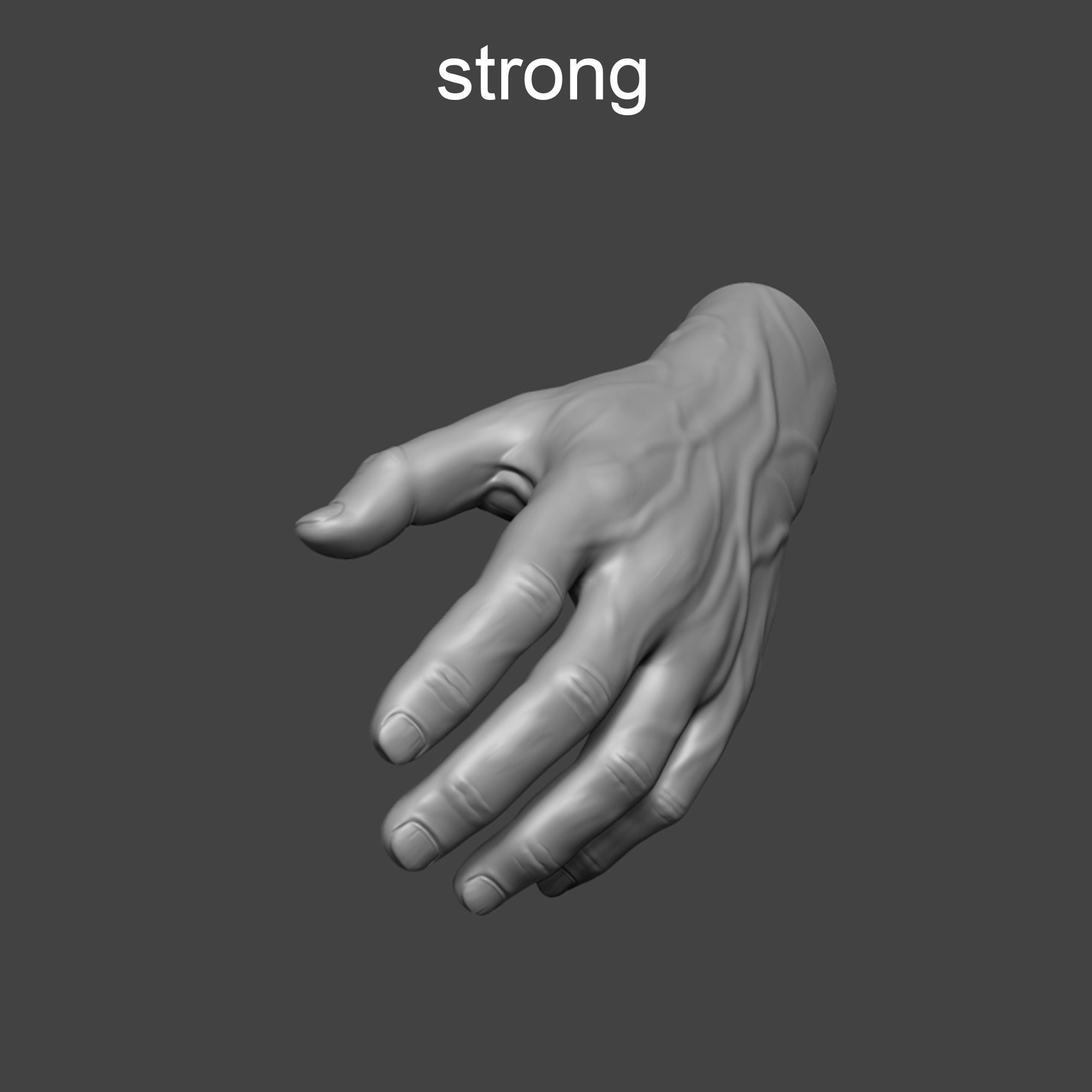 4 types of hand skinny common fat and strong 3D model_9