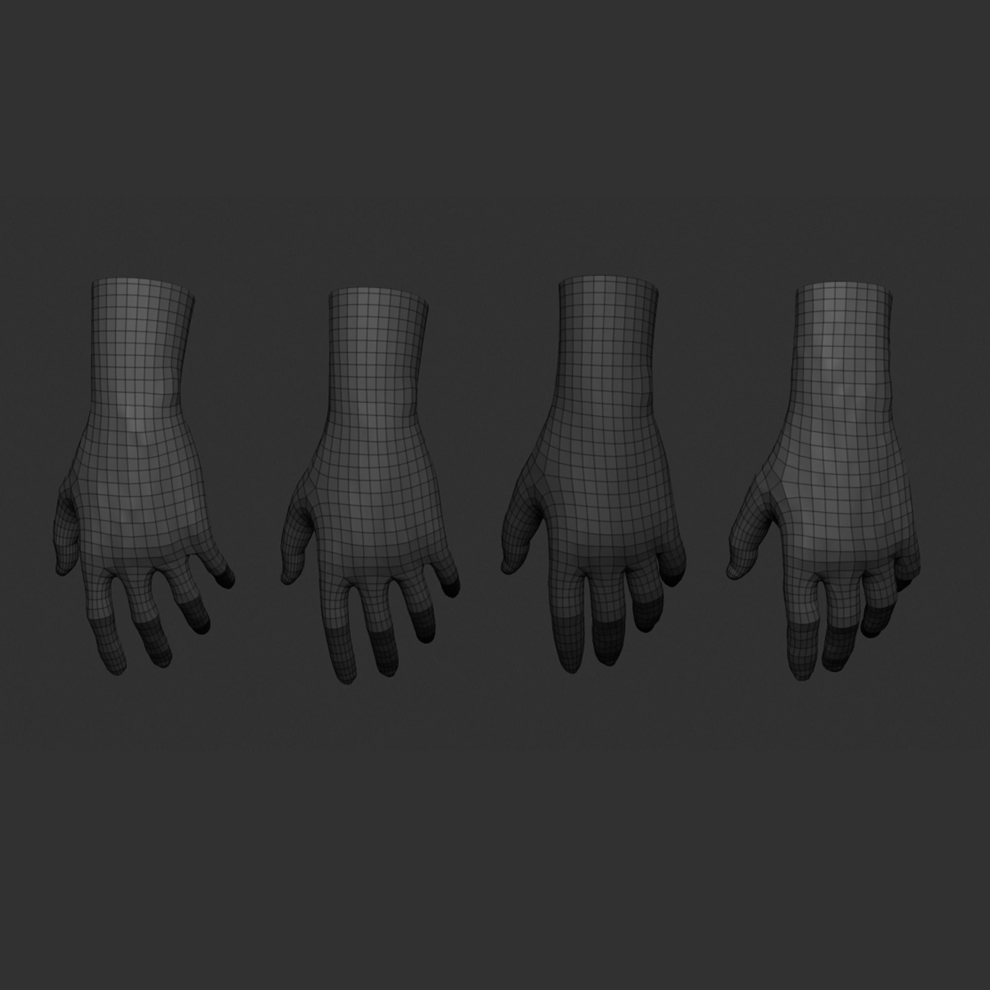 4 types of hand skinny common fat and strong 3D model_17