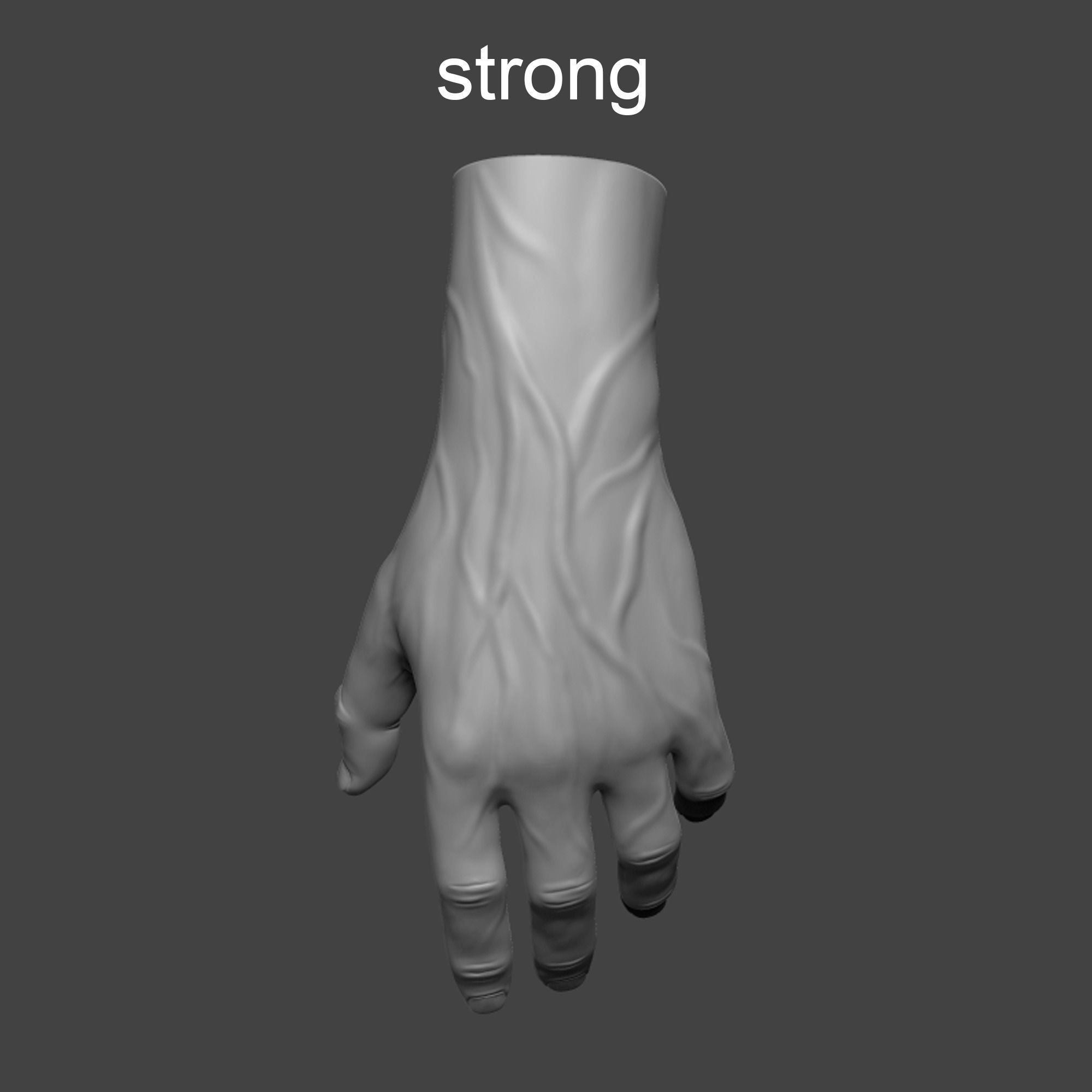 4 types of hand skinny common fat and strong 3D model_12