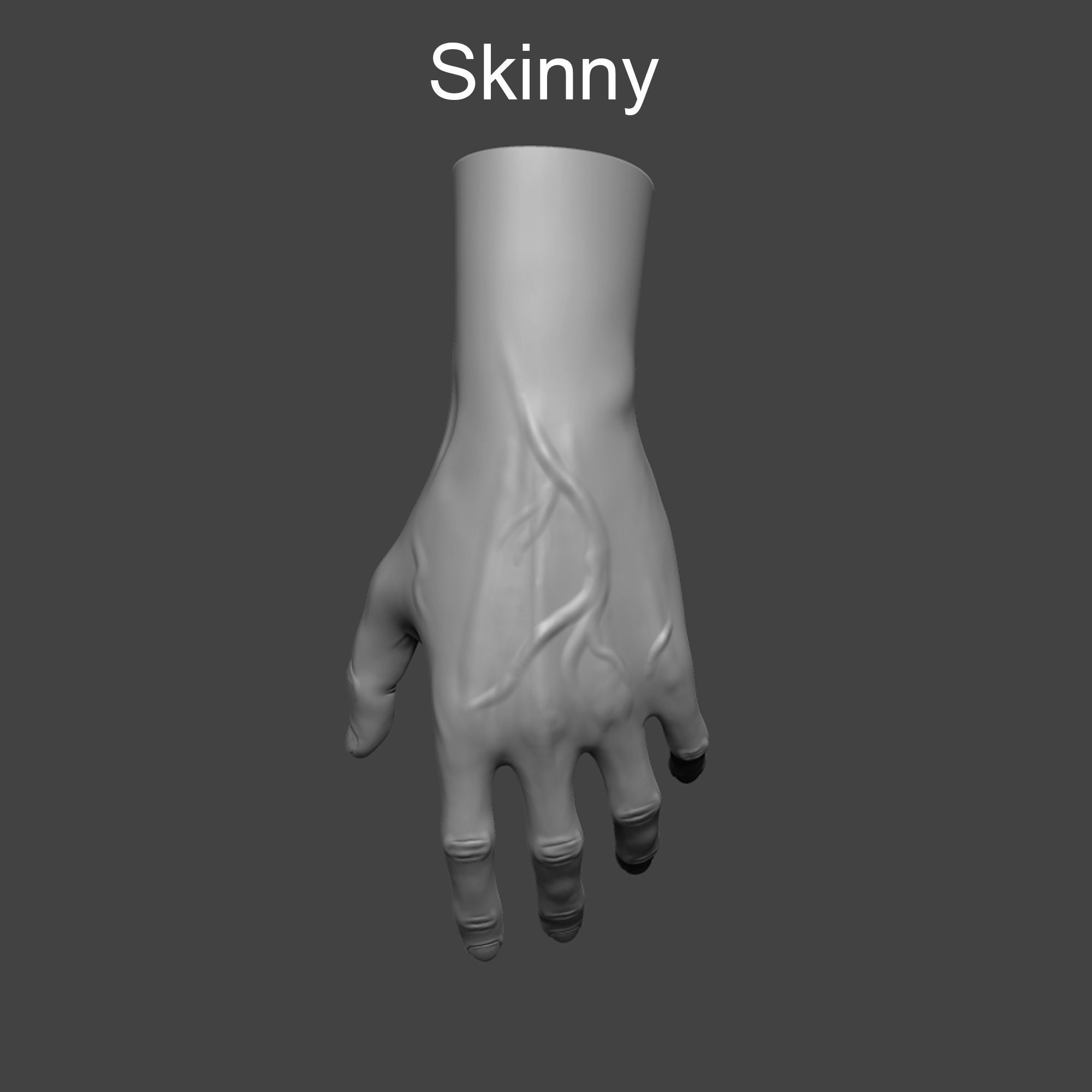 4 types of hand skinny common fat and strong 3D model_5