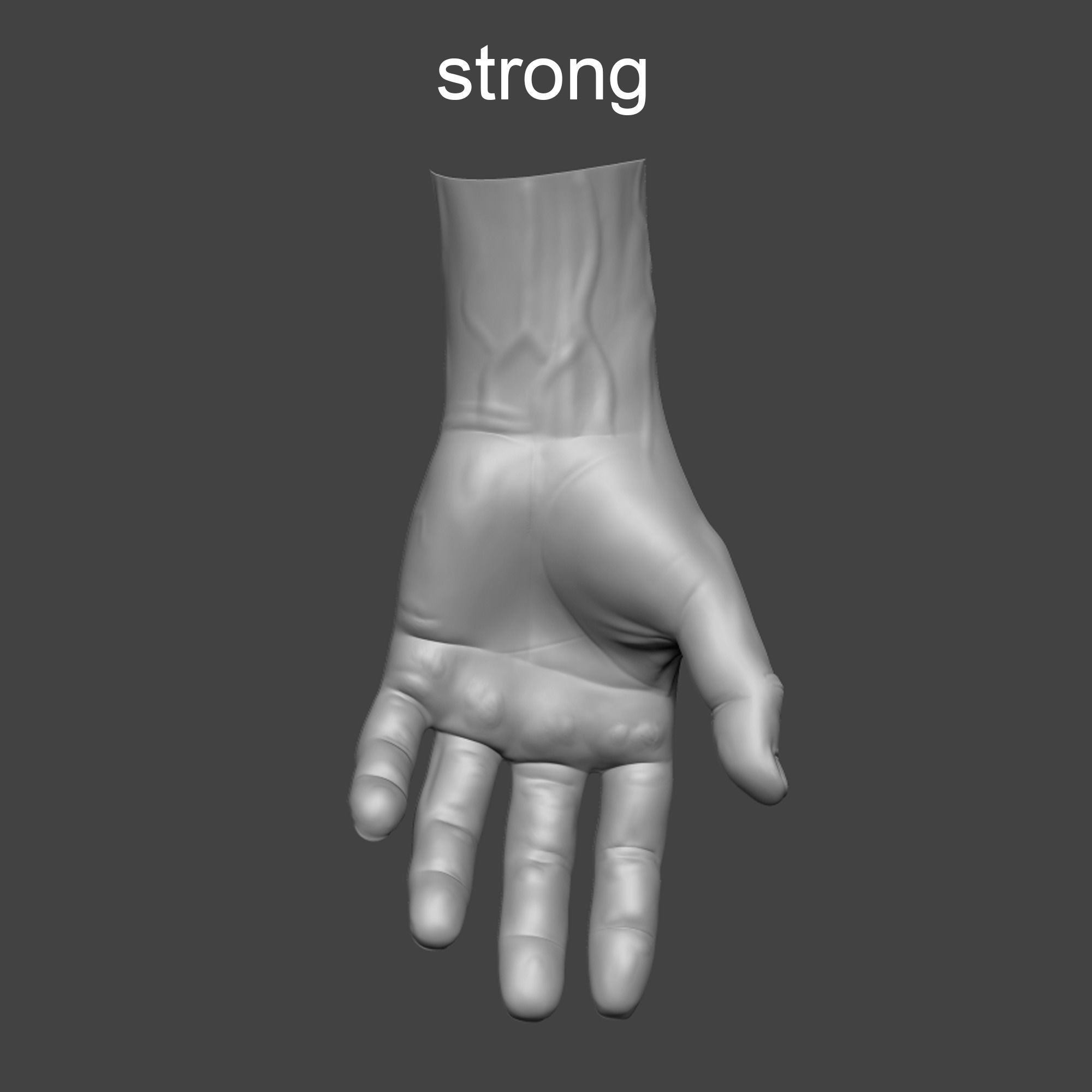 4 types of hand skinny common fat and strong 3D model_11