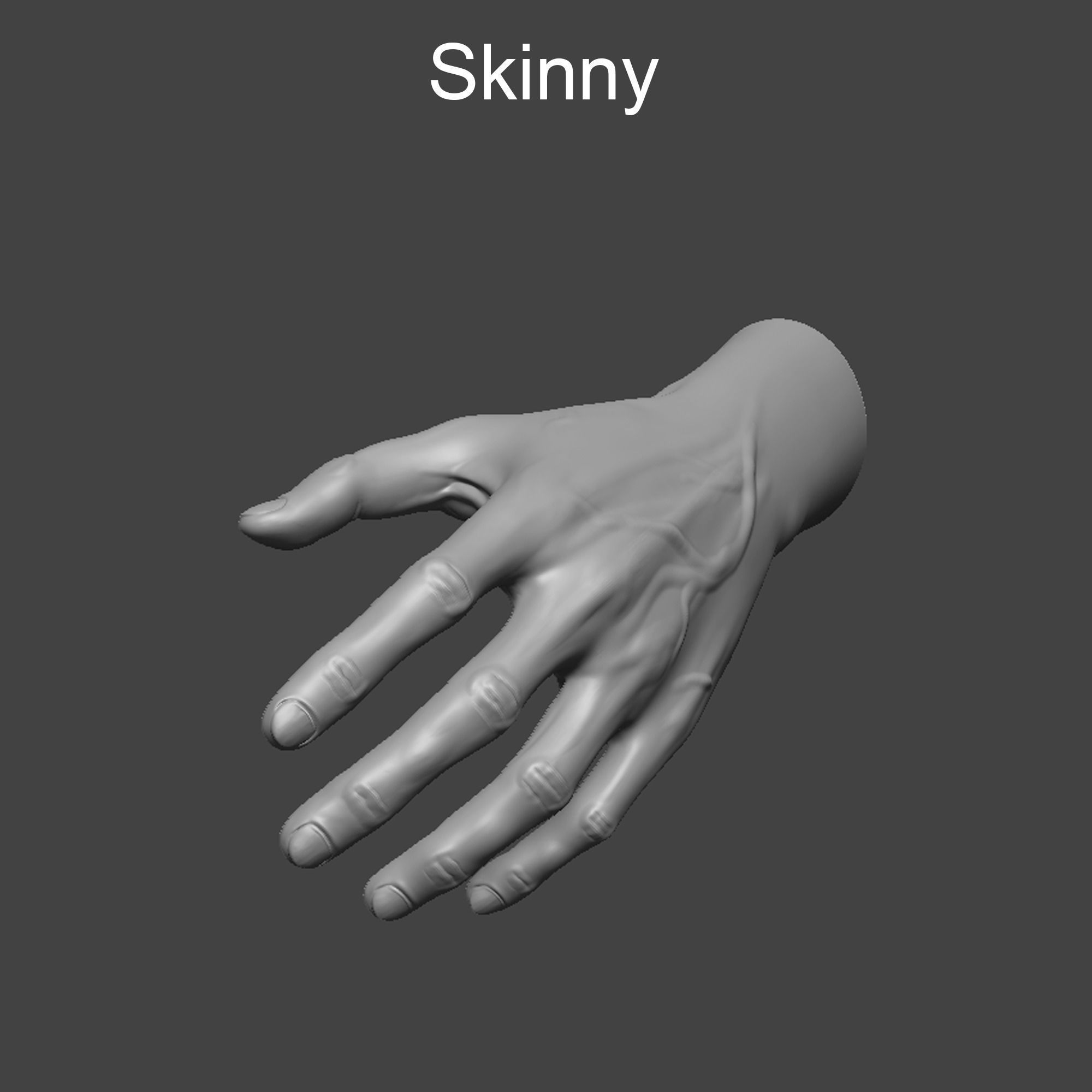 4 types of hand skinny common fat and strong 3D model_7
