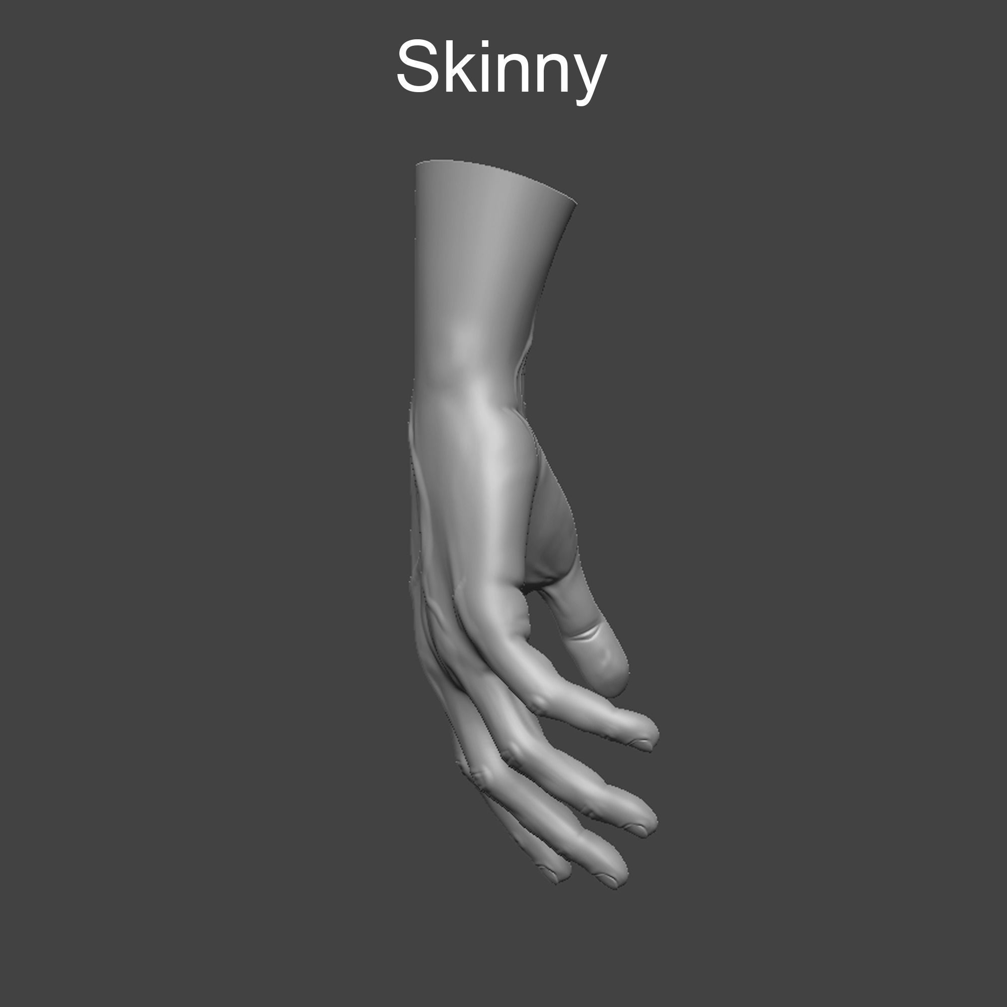 4 types of hand skinny common fat and strong 3D model_8