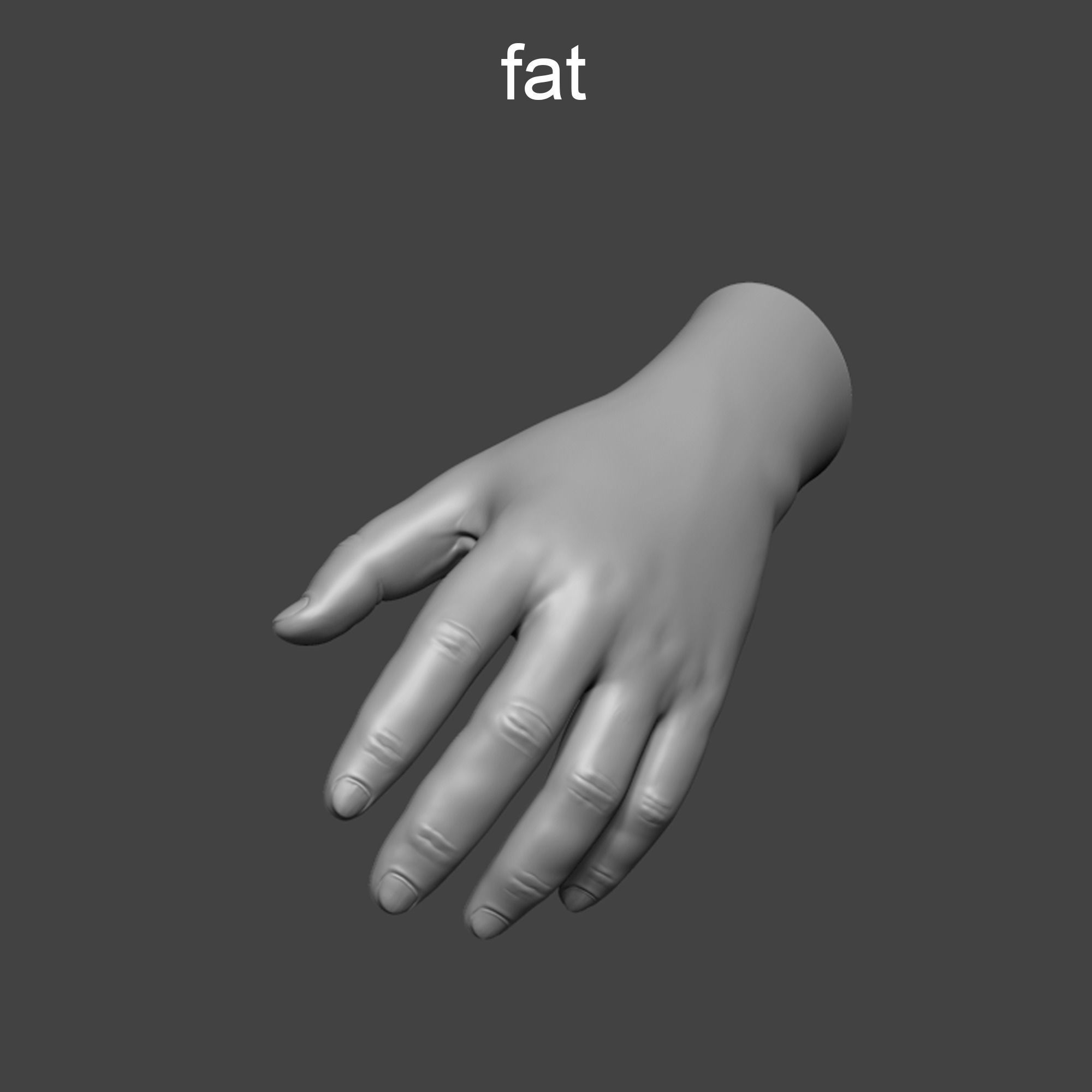 4 types of hand skinny common fat and strong 3D model_16