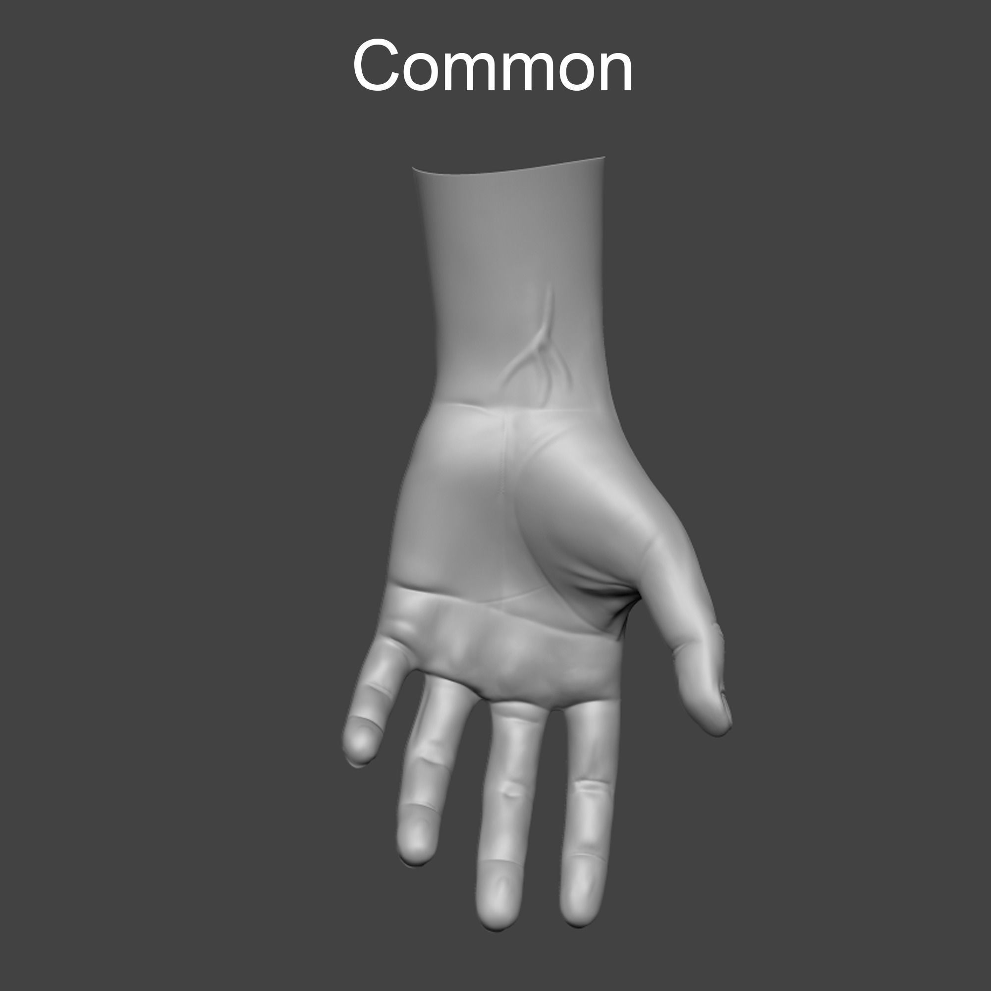 4 types of hand skinny common fat and strong 3D model_4