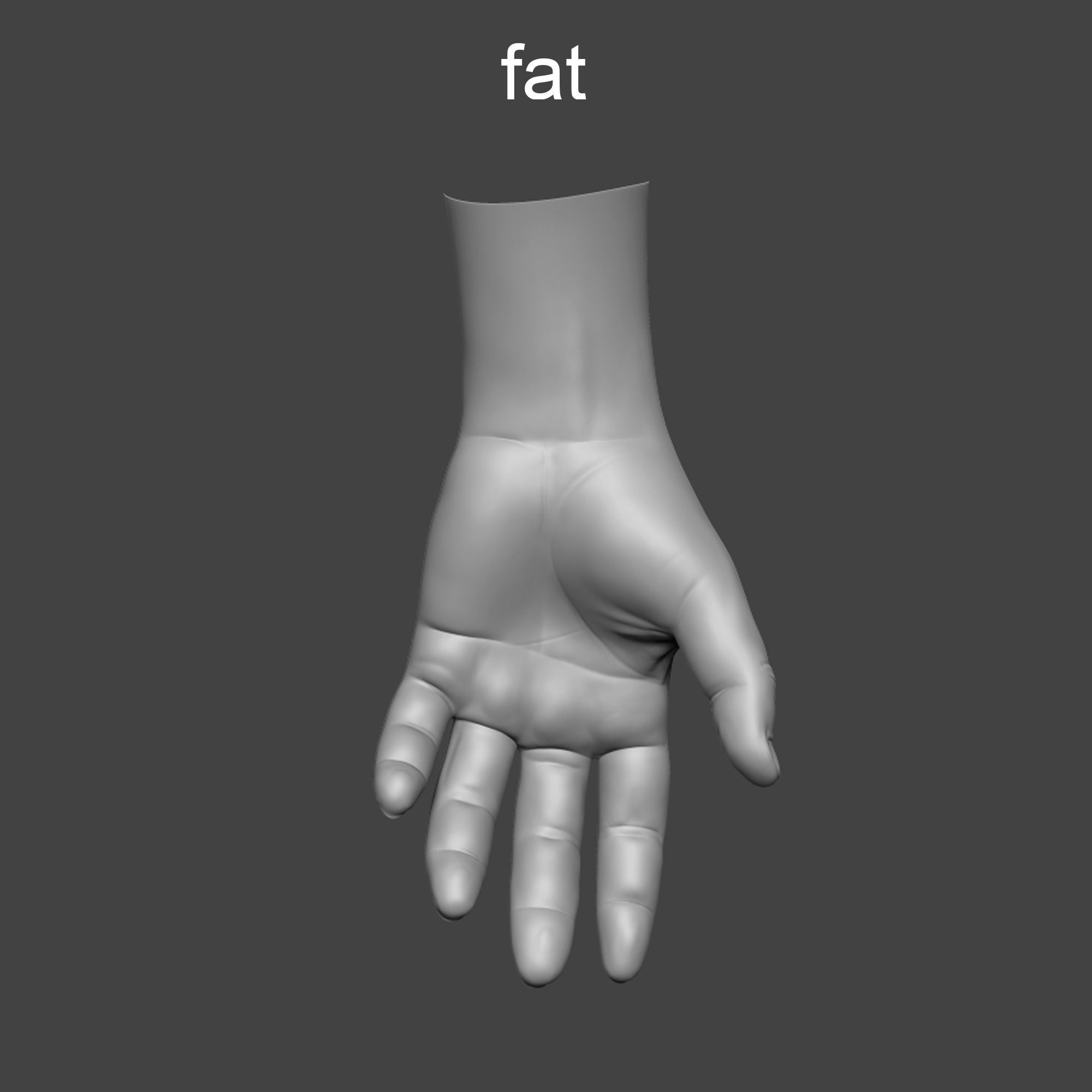 4 types of hand skinny common fat and strong 3D model_13