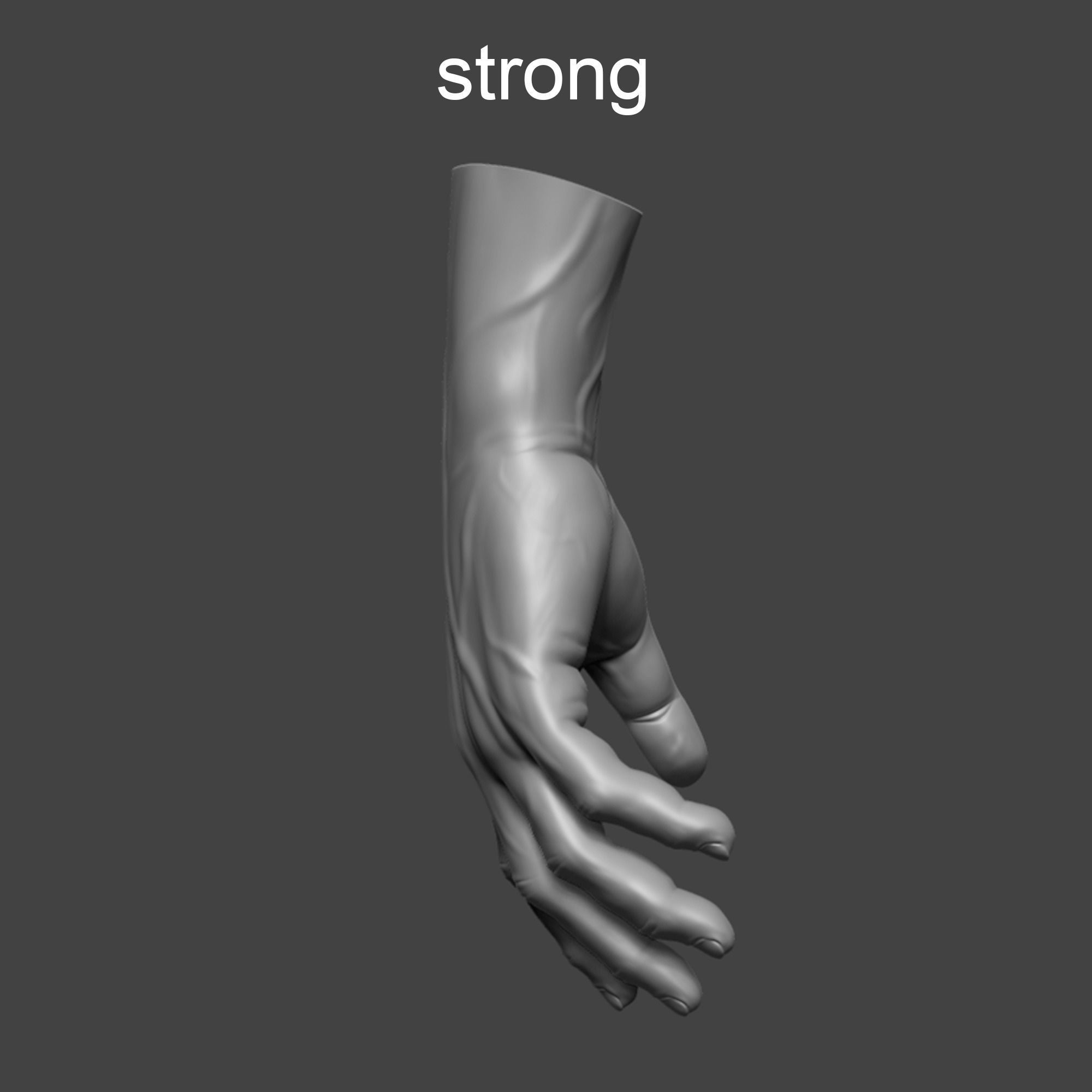 4 types of hand skinny common fat and strong 3D model_10