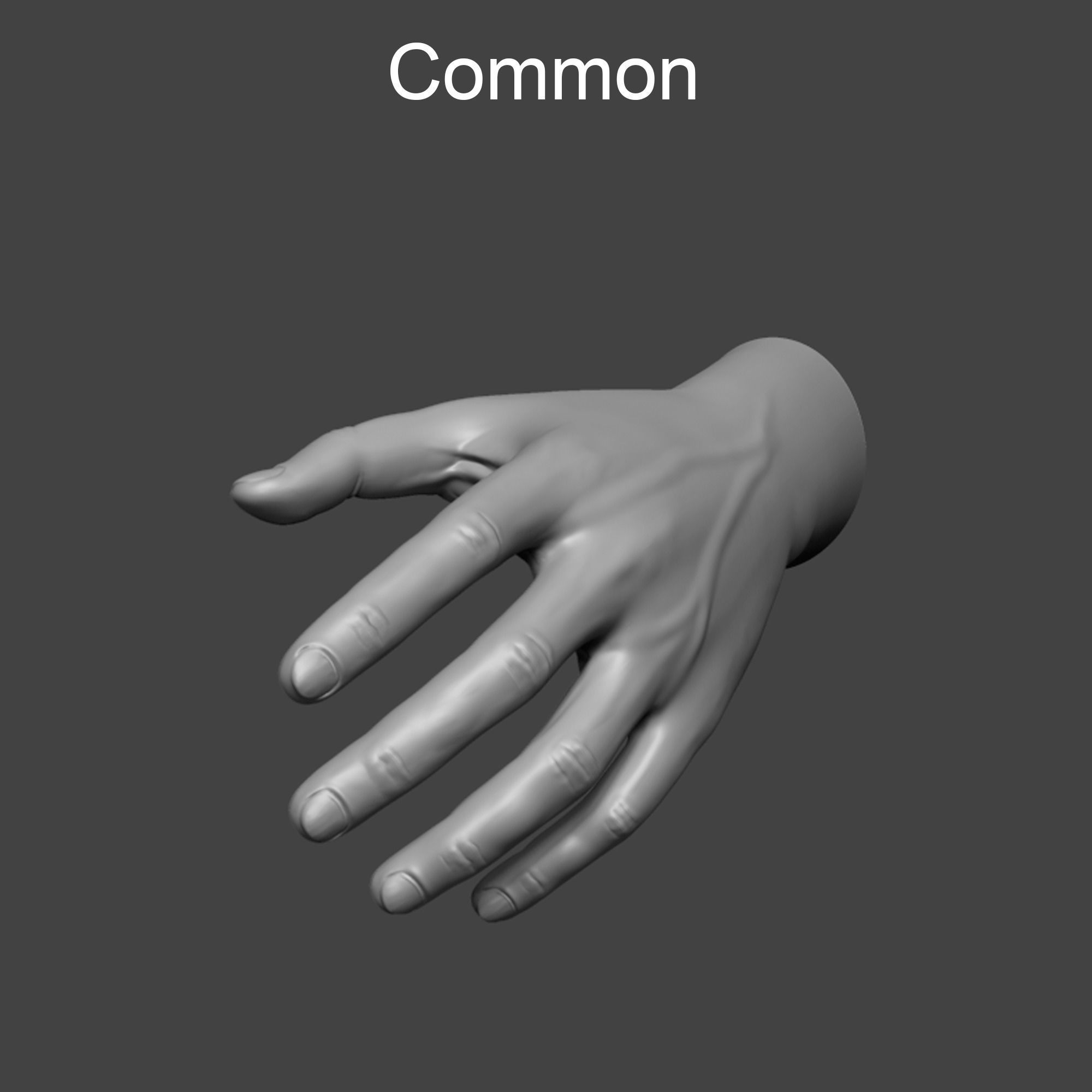 4 types of hand skinny common fat and strong 3D model_1