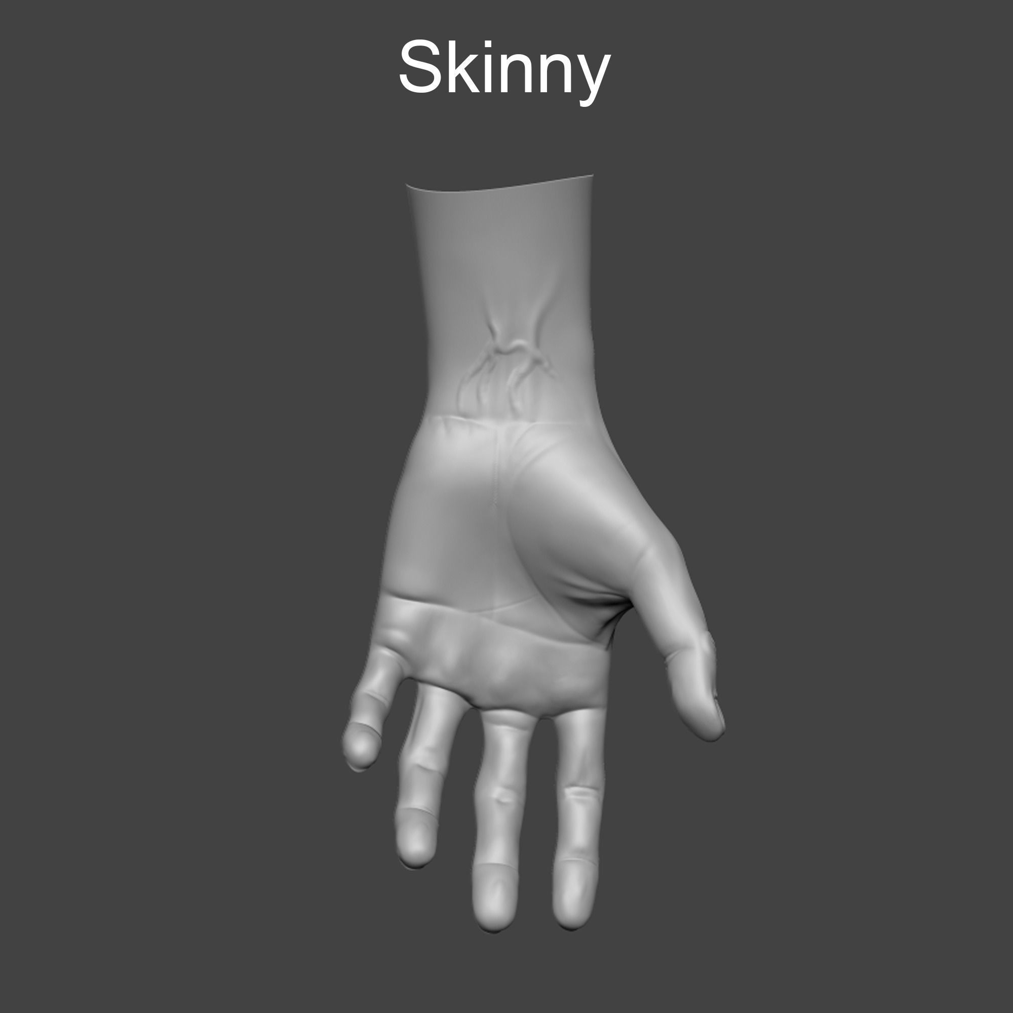 4 types of hand skinny common fat and strong 3D model_6