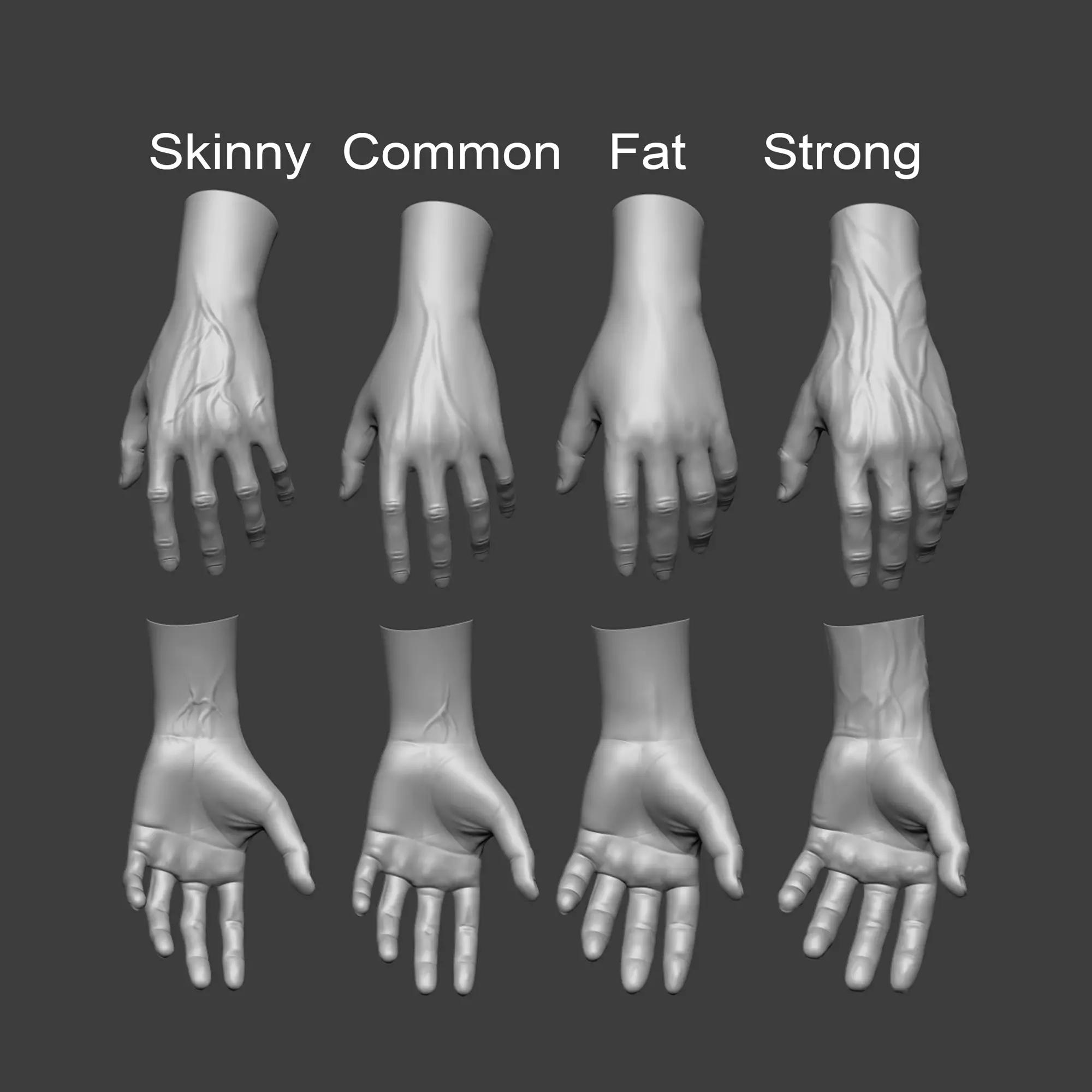 4 types of hand skinny common fat and strong 3D model_0