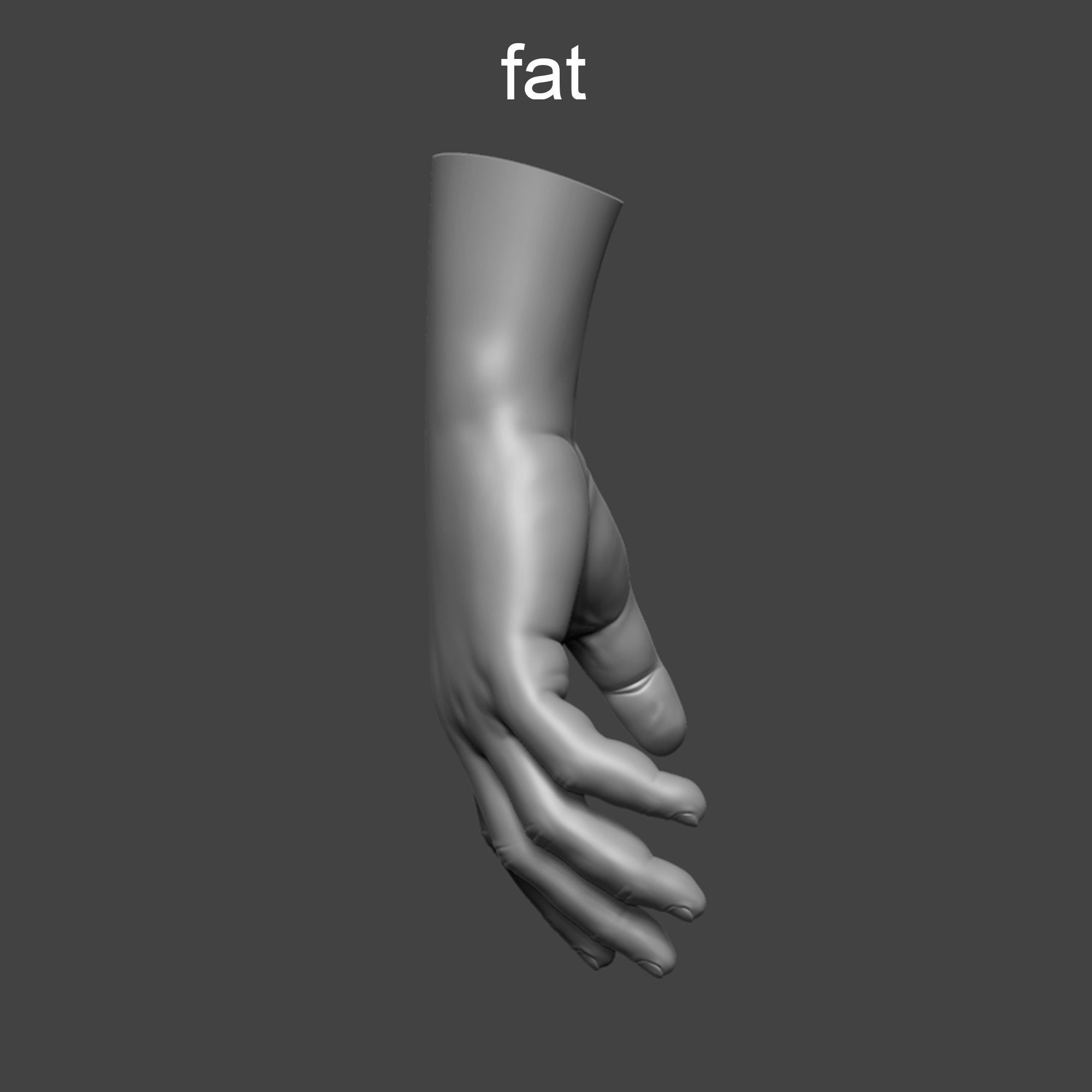 4 types of hand skinny common fat and strong 3D model_15