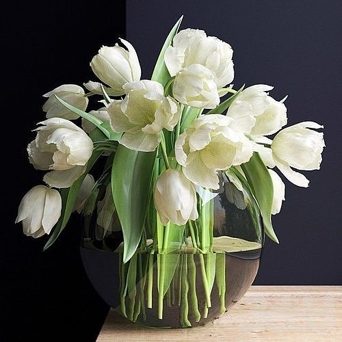 white tulips 3D model