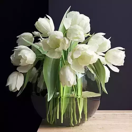 white tulips