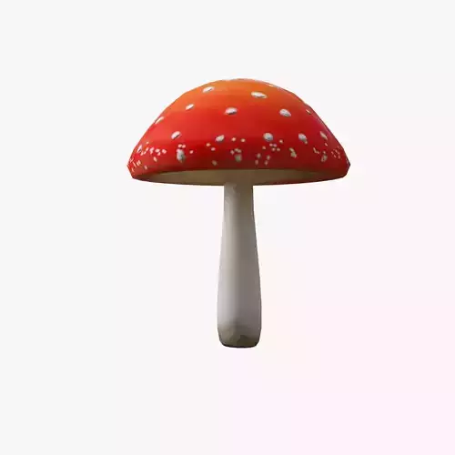 Mushroom Amanita