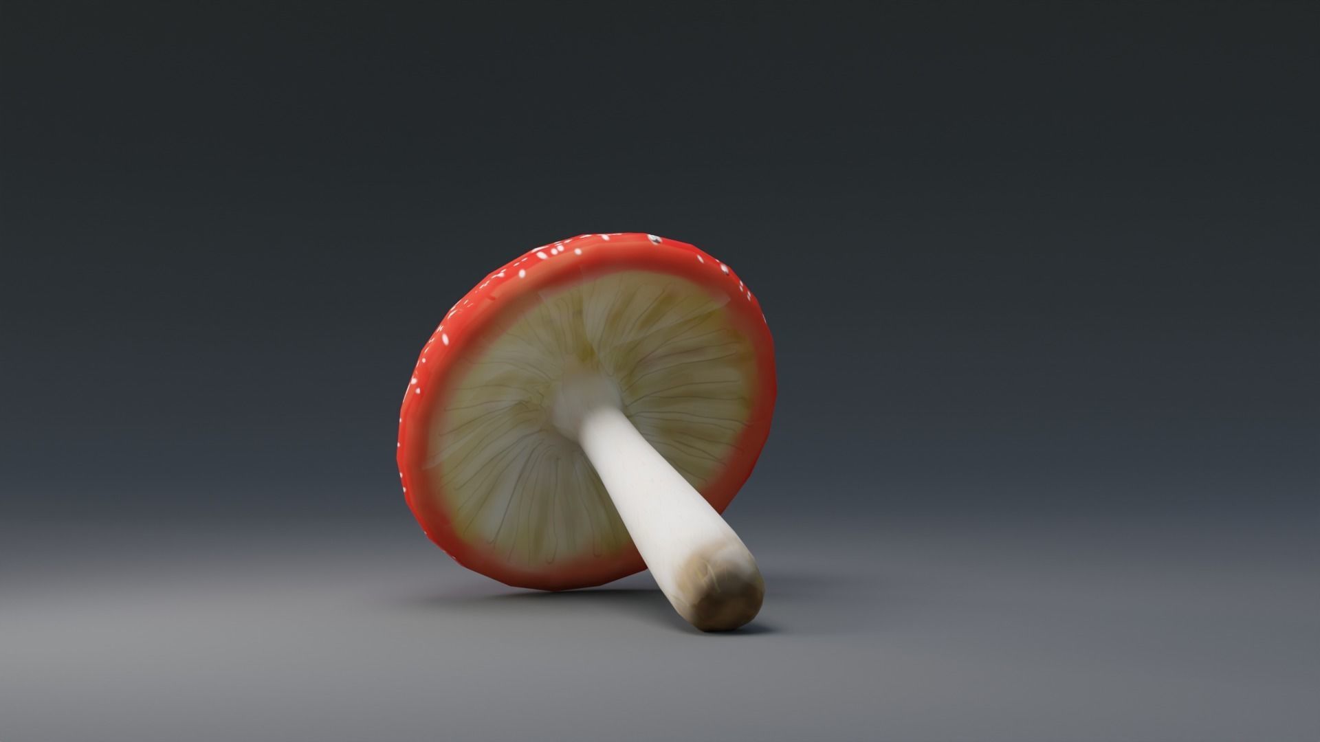 Mushroom Amanita Low-poly 3D model_2