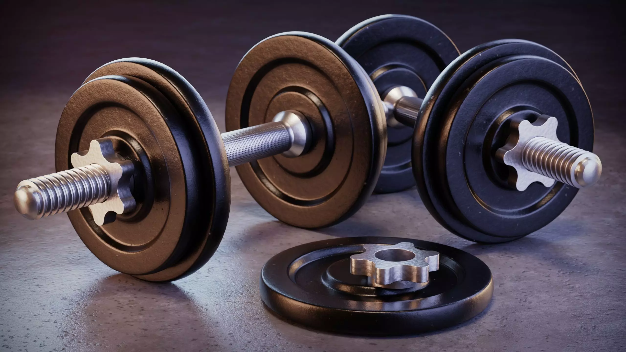 Dumbbell Weights 3D model