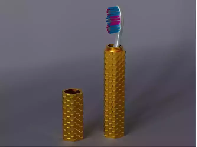 Travel Tooth brush Case 07 3D print model