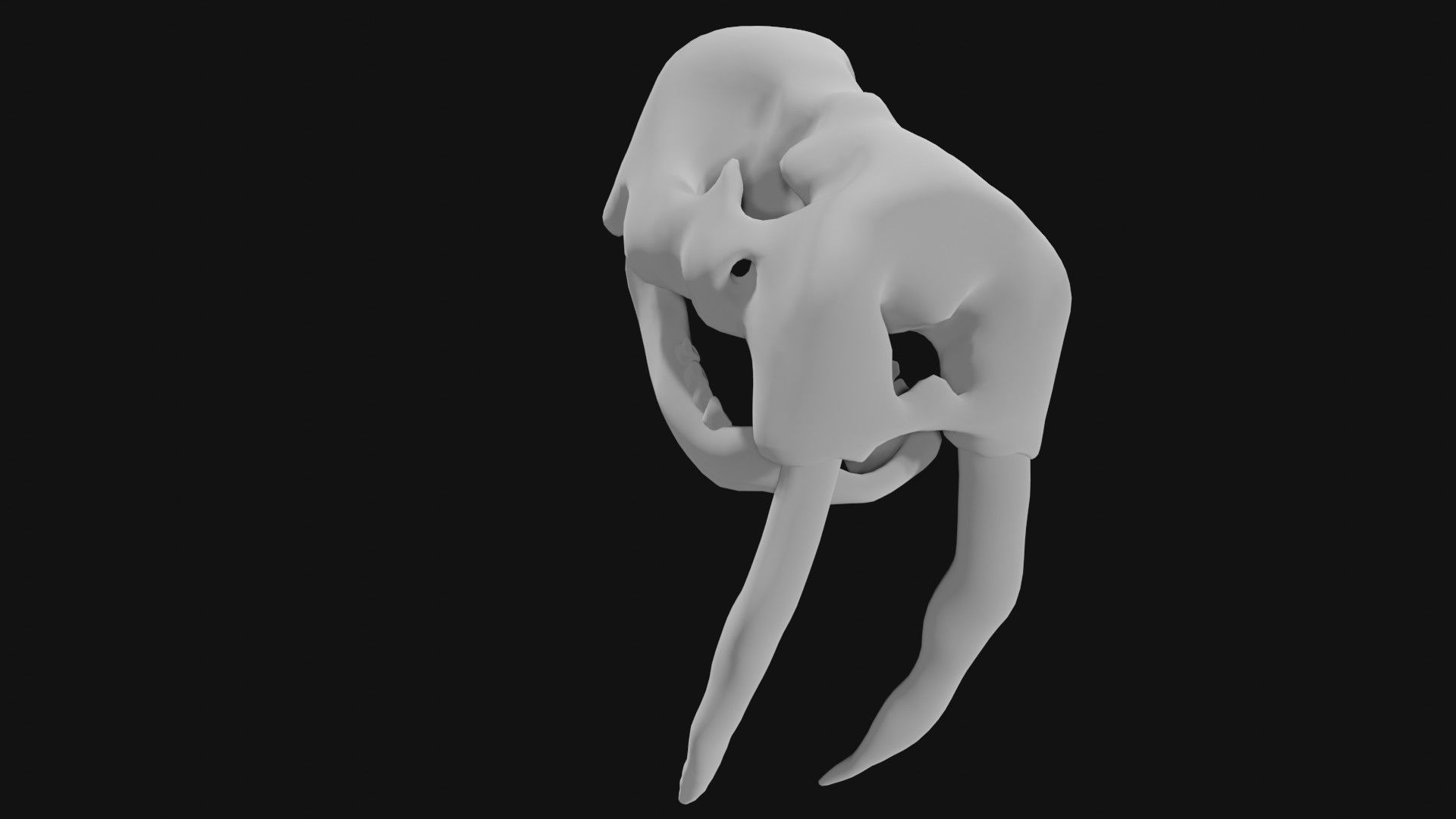 Walrus skull of walrus skeleton Low-poly 3D model_1