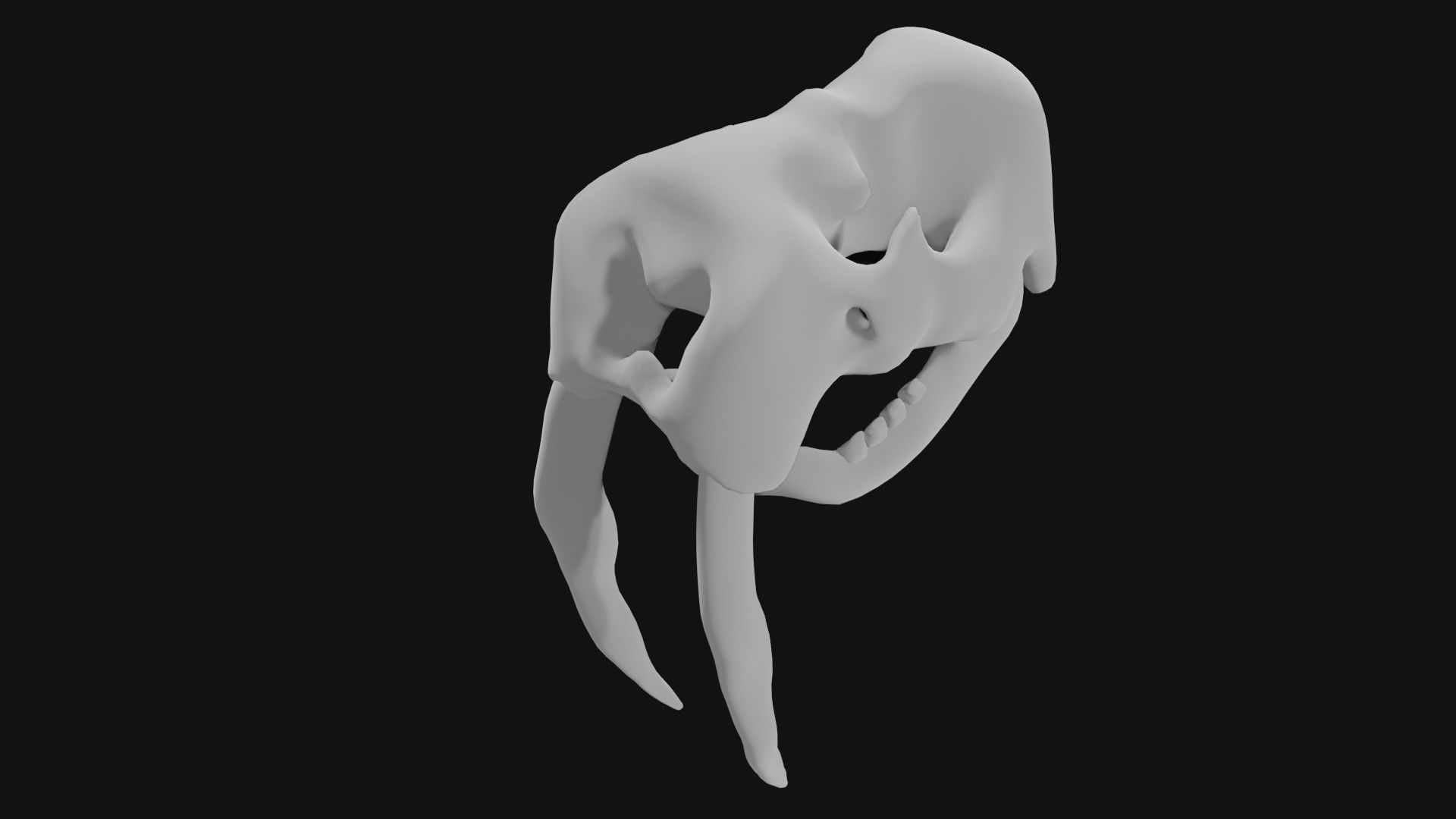 Walrus skull of walrus skeleton Low-poly 3D model_5