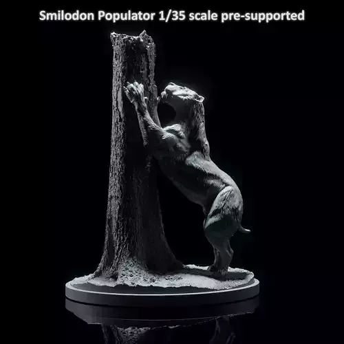 Smilodon Populator sharpening claws 1-35 scale pre-supported