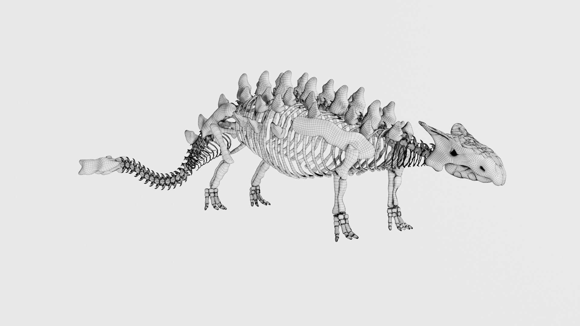 Ankylosaurus skeleton 3D model_7