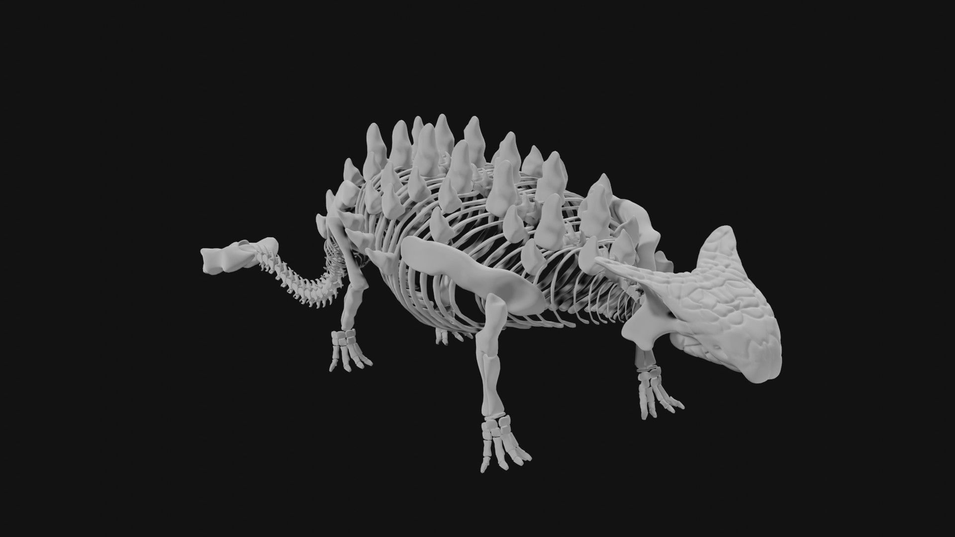 Ankylosaurus skeleton 3D model_3