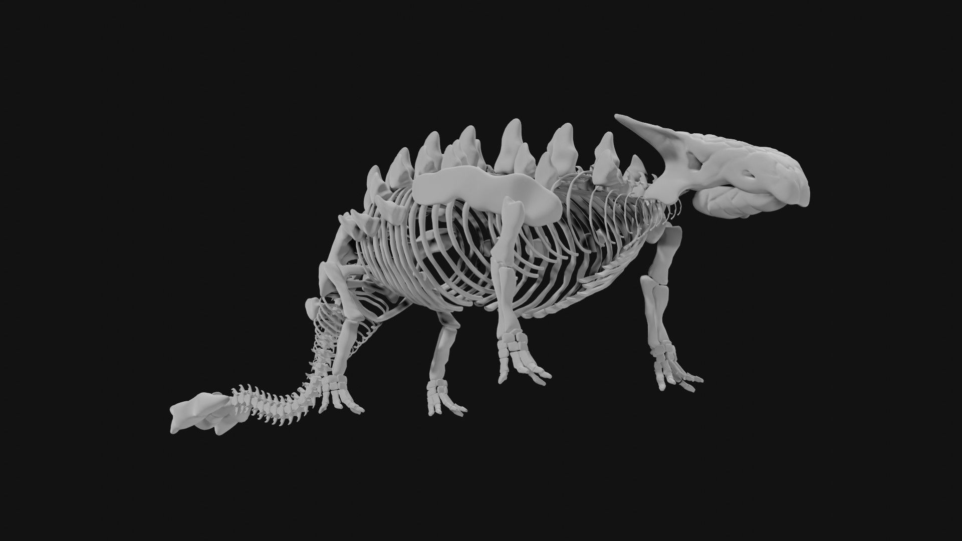 Ankylosaurus skeleton 3D model_4