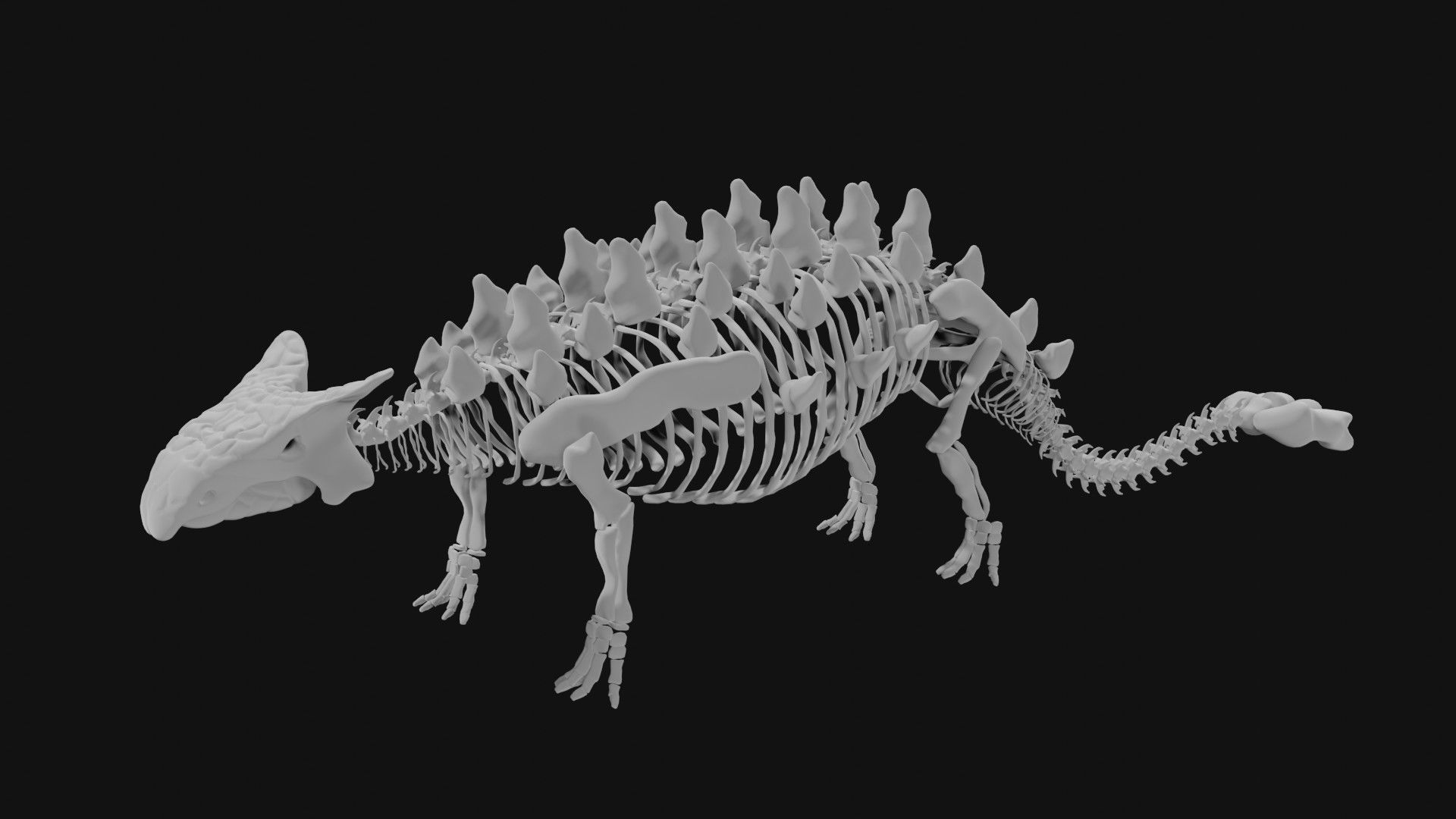 Ankylosaurus skeleton 3D model_5