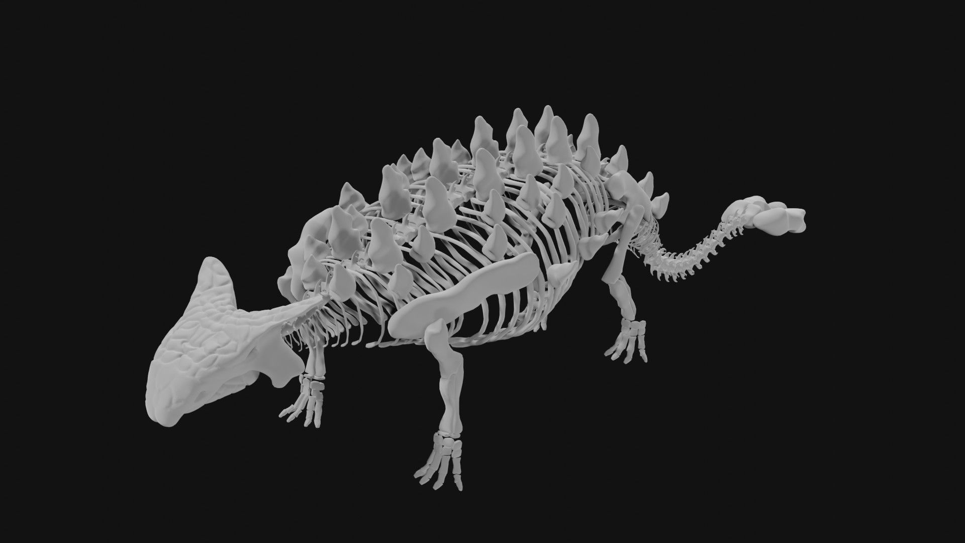 Ankylosaurus skeleton 3D model_6