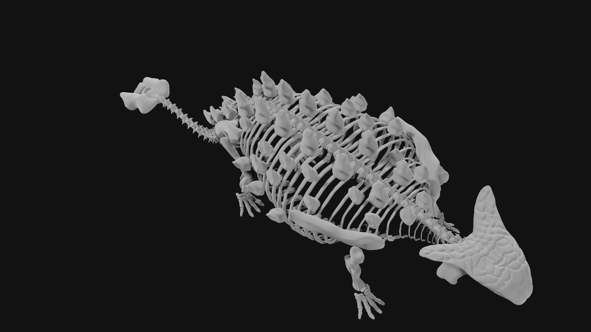 Ankylosaurus skeleton 3D model_1