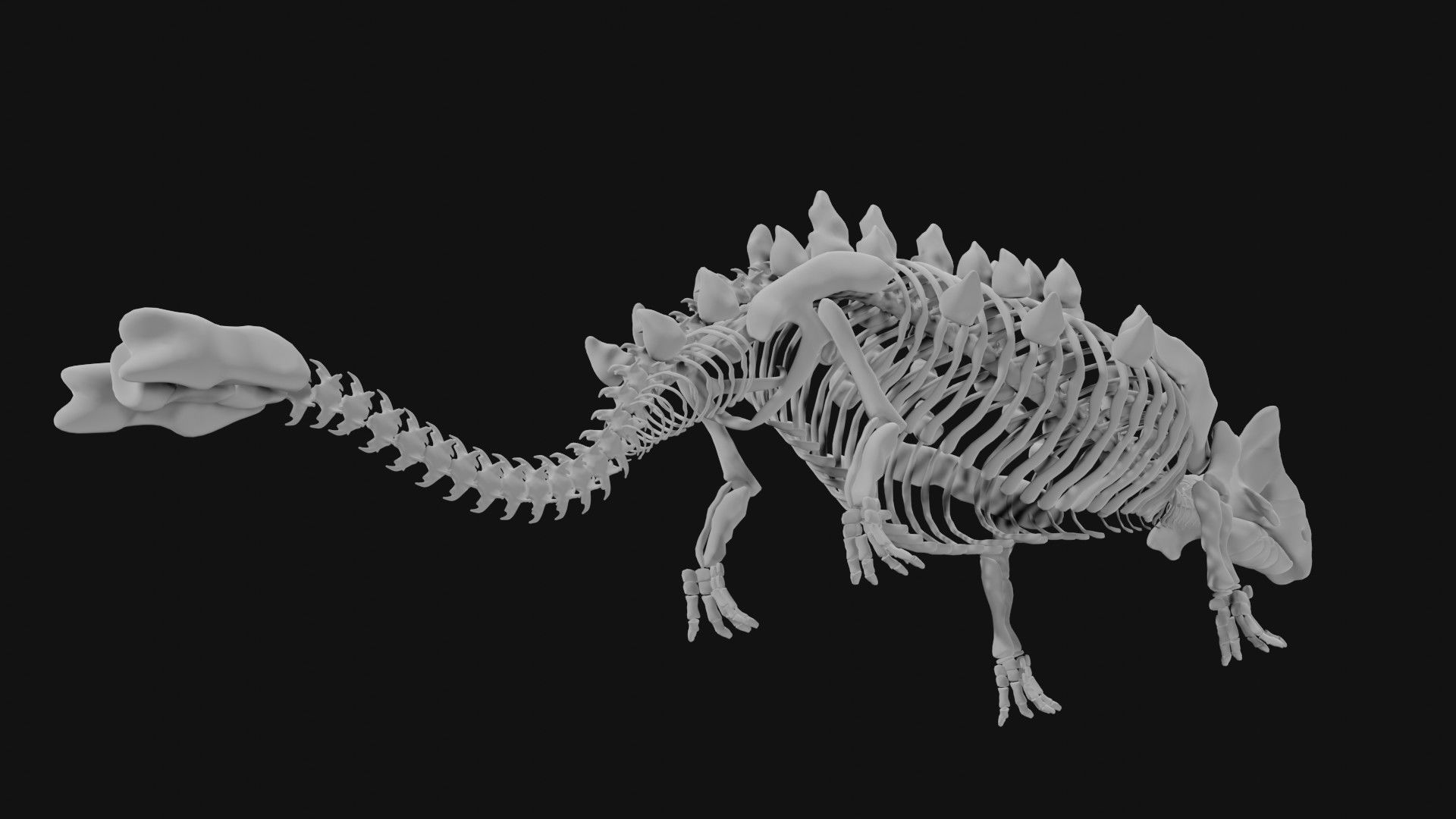 Ankylosaurus skeleton 3D model_2