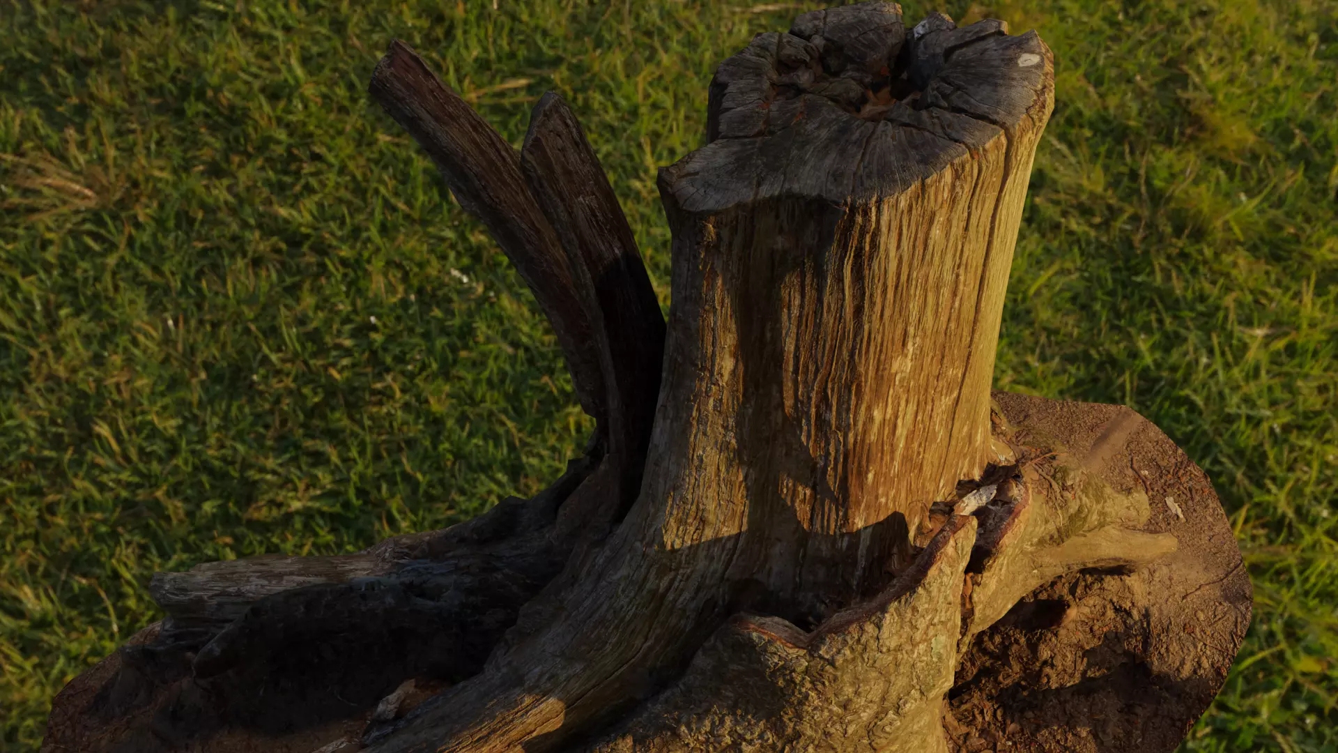 Wood stump Free 3D model_0