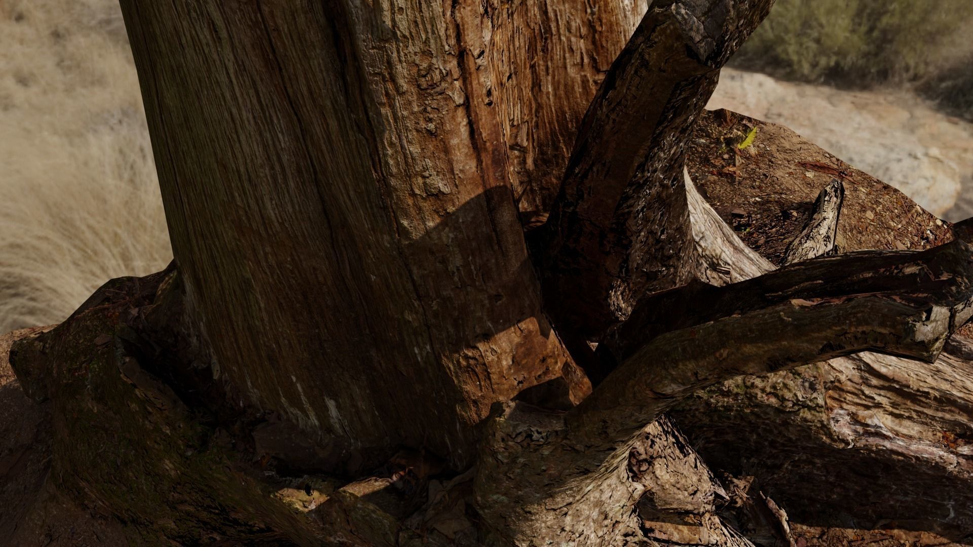 Wood stump Free 3D model_1