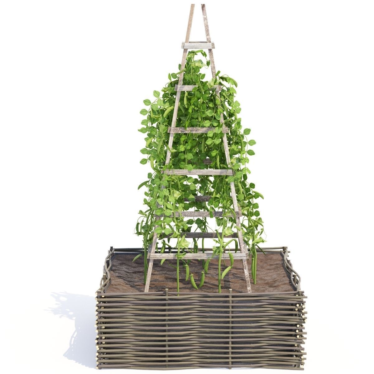 Kitchen garden vol 3 3D model_4