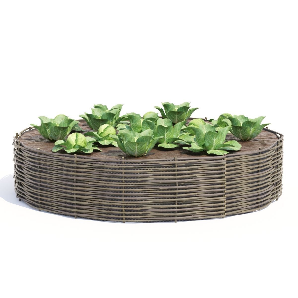 Kitchen garden vol 3 3D model_7