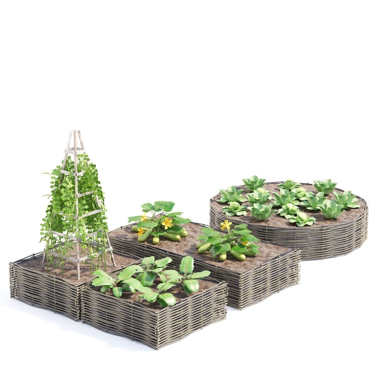 Kitchen garden vol 3 3D model_3