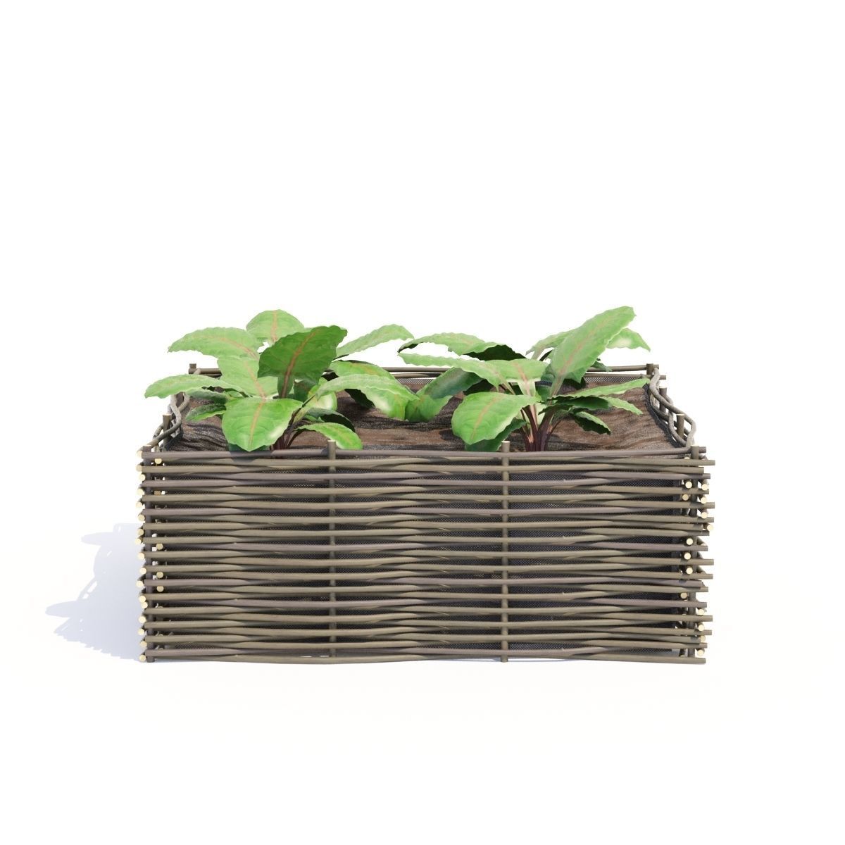 Kitchen garden vol 3 3D model_5