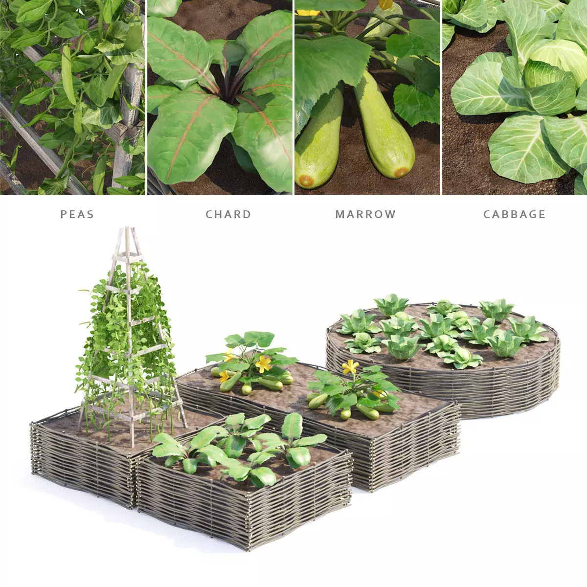 Kitchen garden vol 3 3D model_0