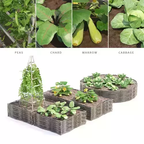 Kitchen garden vol 3 3D model