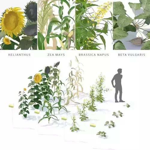 Kitchen garden vol 4