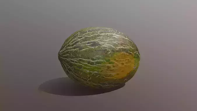 Piel De Sapo Melon Low-poly 3D model