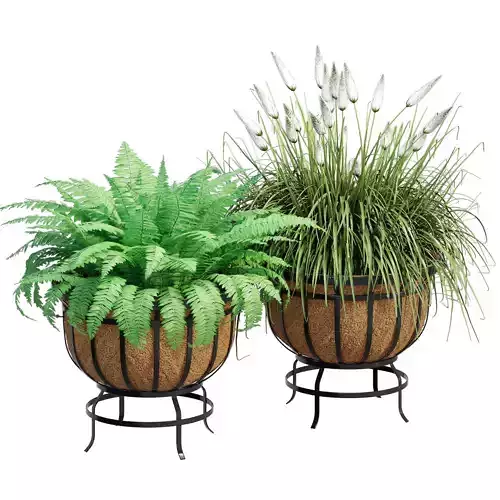 Footed two planters with ferns and grasses