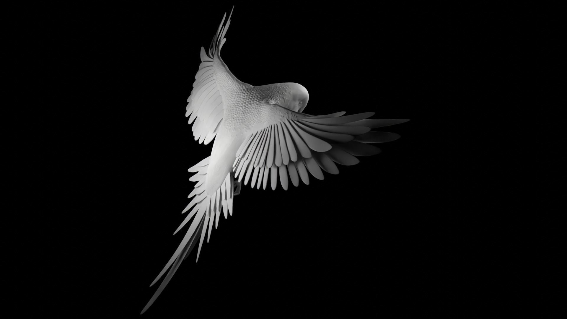 parrot 3D print model_4