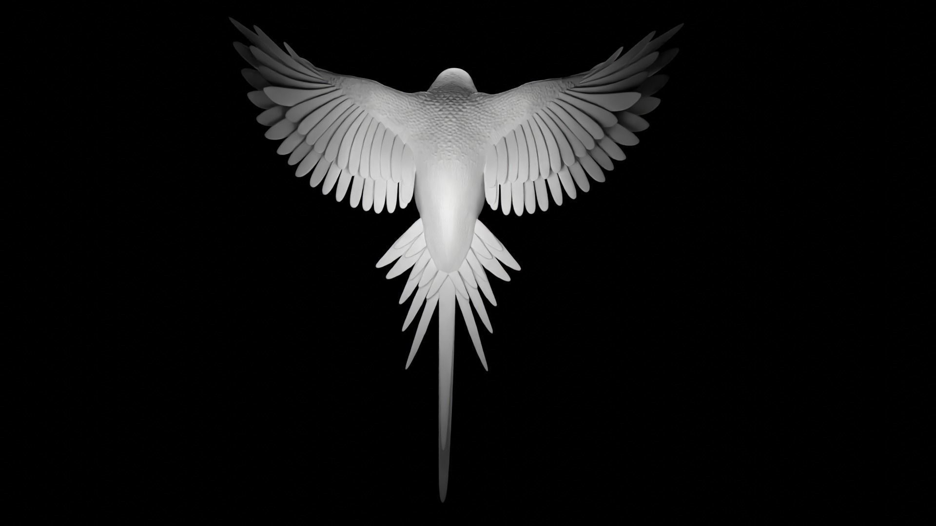 parrot 3D print model_3