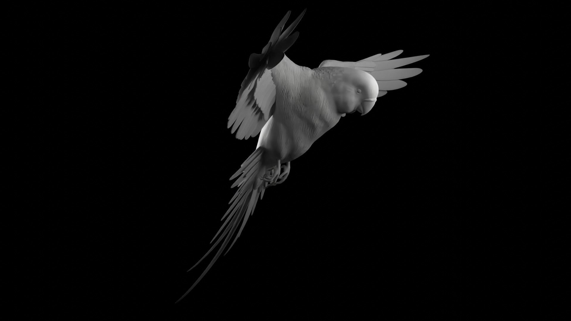 parrot 3D print model_1