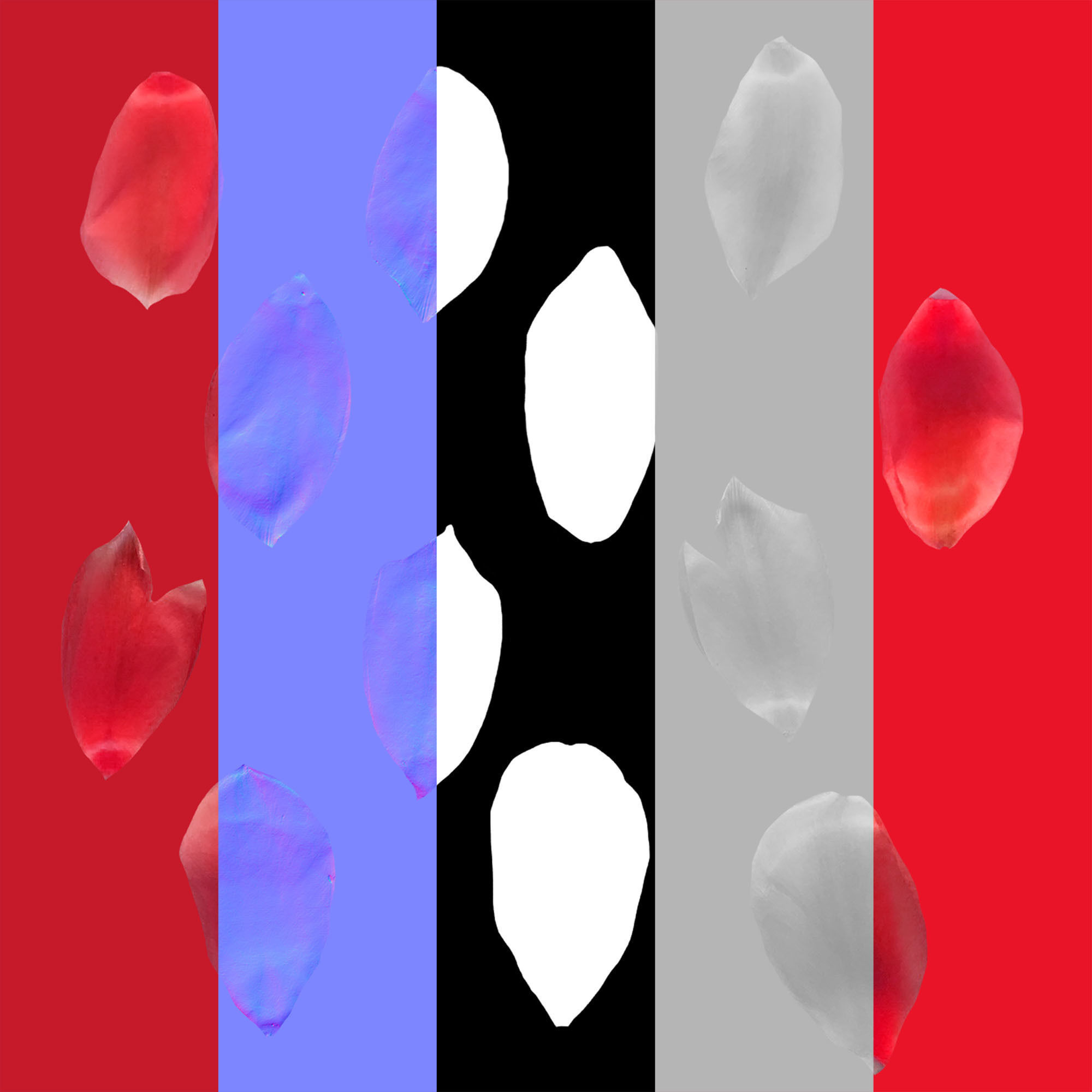 Red Tulip Petals Low-poly 3D model_10